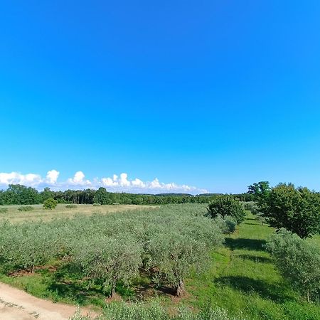 Apartman Ika Umag Bagian luar foto